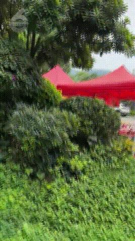 DƬ